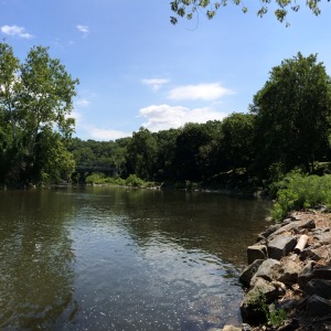 Brandywine River and Breck’s Mill